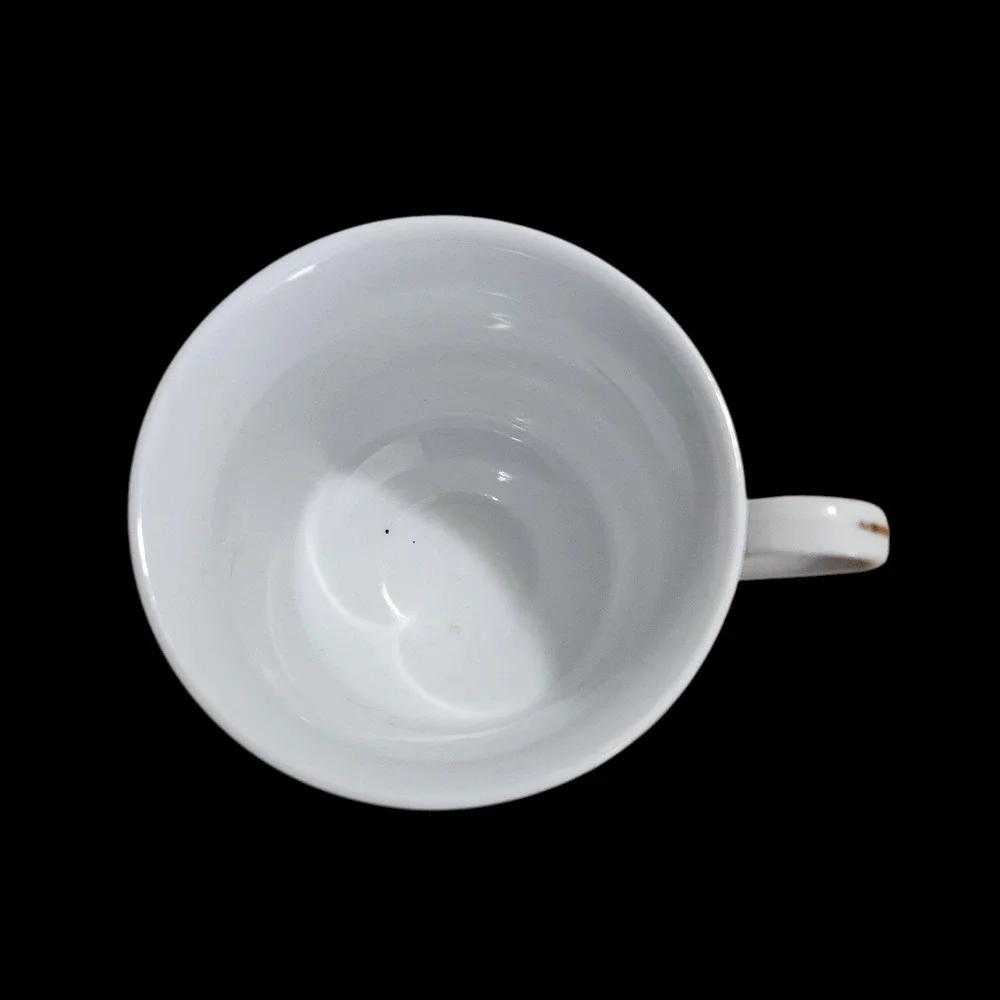 Napco Floral Tea Cup & Saucer Set White Porcelain Gold Trim Vintage Style